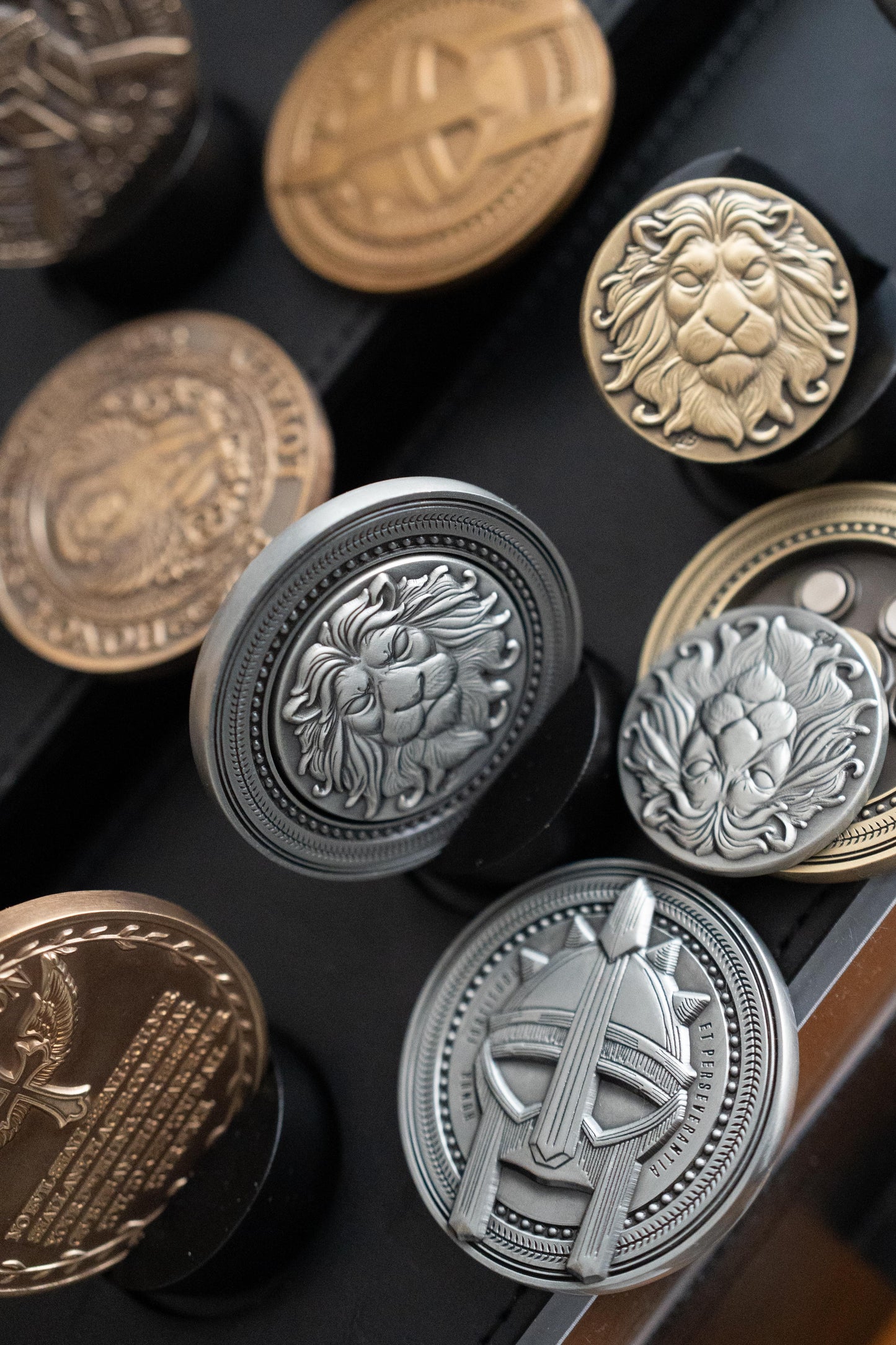 Coin of Strength (Fidget Version)